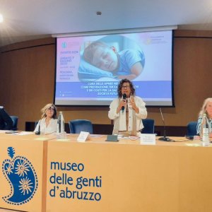 discorso cardone